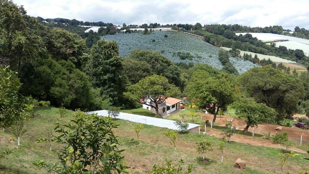 Rancho La Piedra Tenancingo de Degollado Bagian luar foto